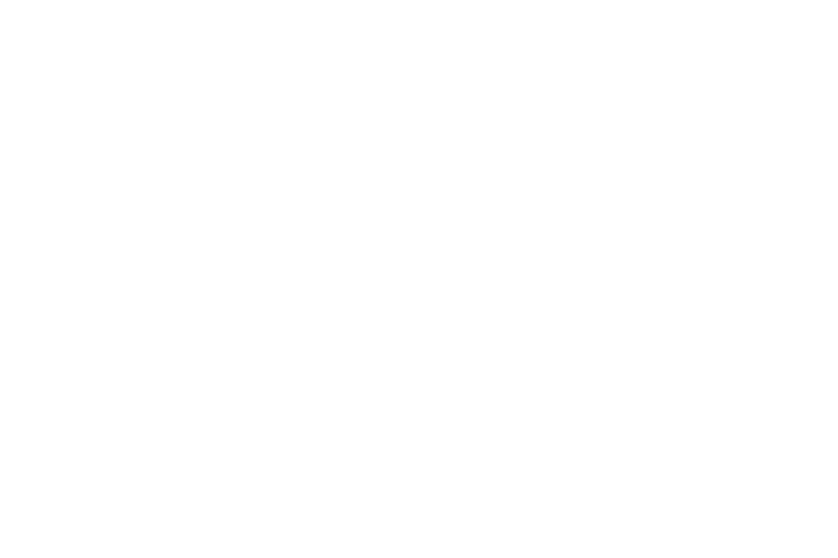 https://tbiwwc.com/wp-content/uploads/2017/04/Pyranha-Logo.png