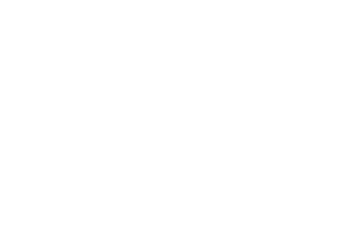 https://tbiwwc.com/wp-content/uploads/2017/05/Palm-Logo.png